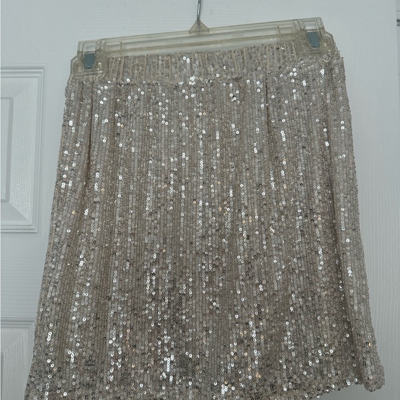 Sequin Skirt - Picture 2 of 2